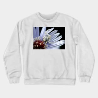 Lady In Waiting Crewneck Sweatshirt